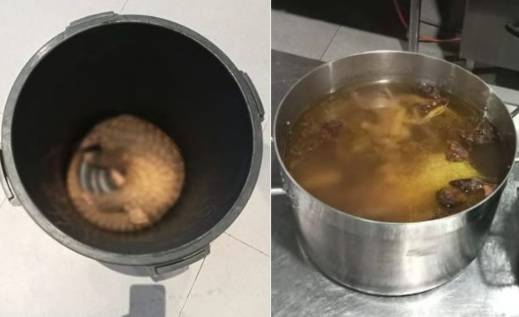 익힌 천산갑. [사진출처 = SCMP]