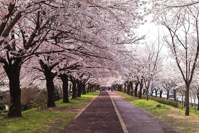 부산의 사상구/ 사진=호텔스닷컴