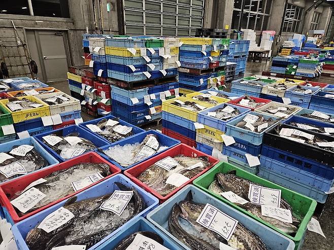 일본 홋카이도 하코다테시 수산물도매시장에서 경매를 기다리는 수산물들.  하코다테 이승훈 특파원