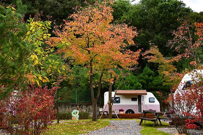 경북 봉화군에 있는 청량산 수원캠핑장. 사진=수원시