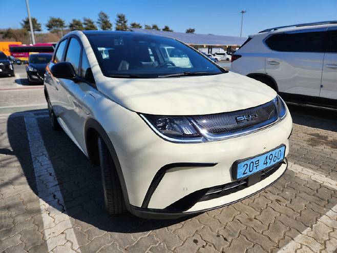 BYD 돌핀 (사진=이데일리 이배운 기자)