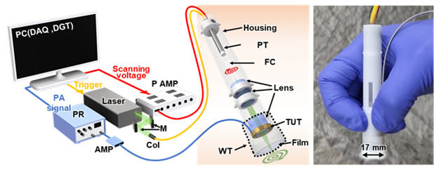 포스텍 연구진이 개발한 광-음향 현미경 시스템 개요. 포스텍 제공