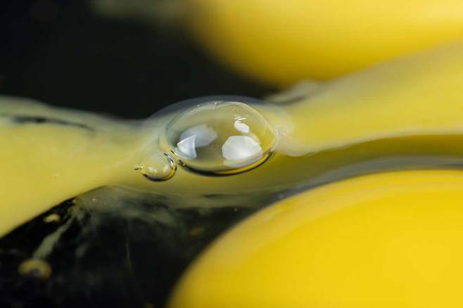 날달걀 흰자, 브라질너트, 참치는 과잉 섭취시 탈모를 유발할 수 있다./게티이미지뱅크