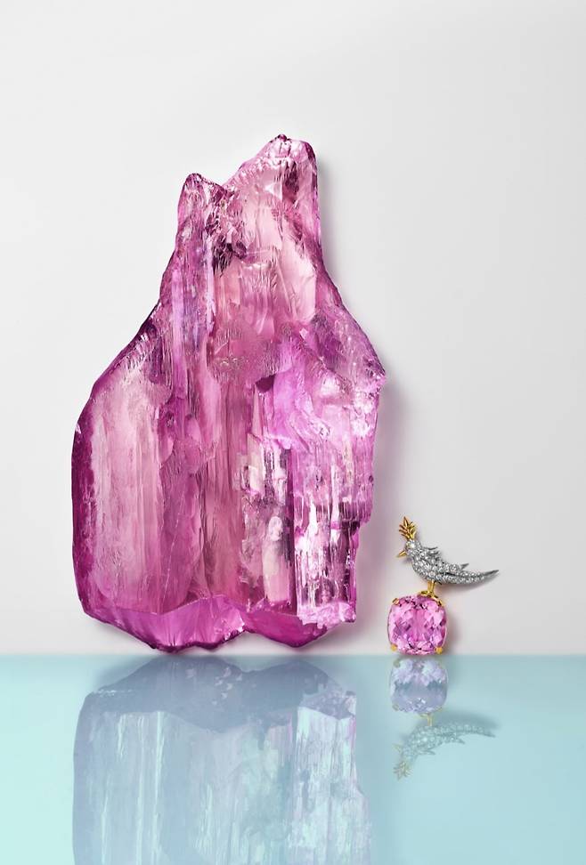 7500캐럿의 티파니 쿤자이트. 2025년 티파니가 인수한 7500캐럿이 넘는 쿤자이트 원석과 쿤자이트로 만든 ‘버드 온 어 락’ 브로치. 티파니 제공