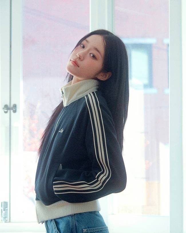 리(Lee) 제공