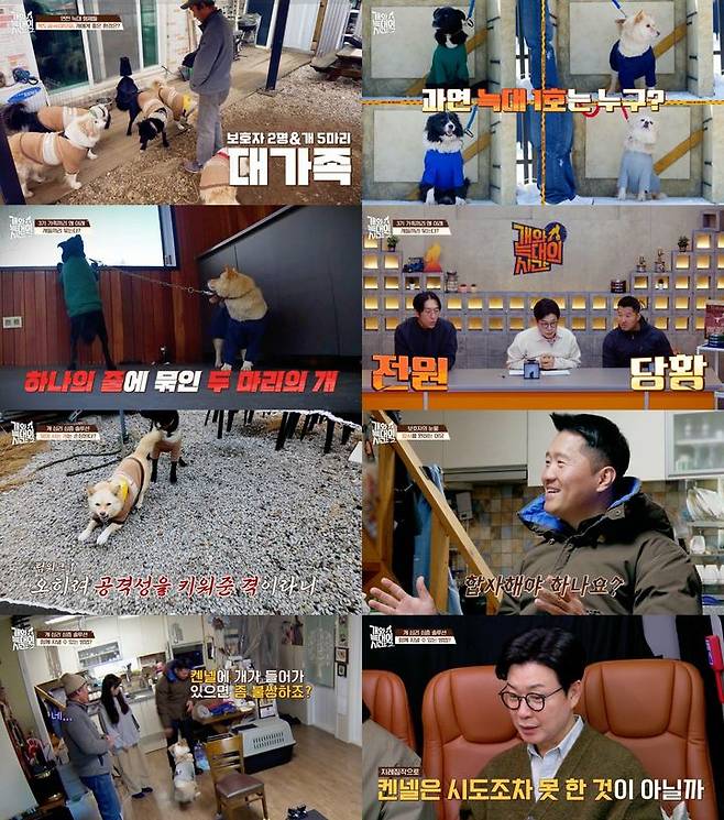 [서울=뉴시스] 반려견 훈련사 강형욱이 다견 가정의 행동 교정 솔루션을 진행했다.  (사진=채널A) 2026.02.26. photo@newsis.com *재판매 및 DB 금지