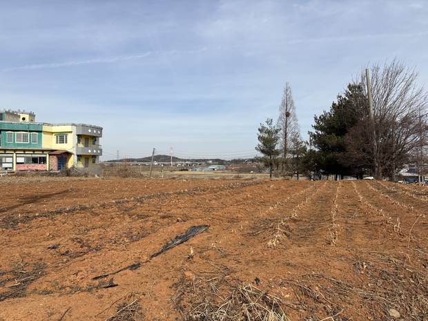 26일 경기 평택시 대반리의 한 농지. 남소정 견습기자