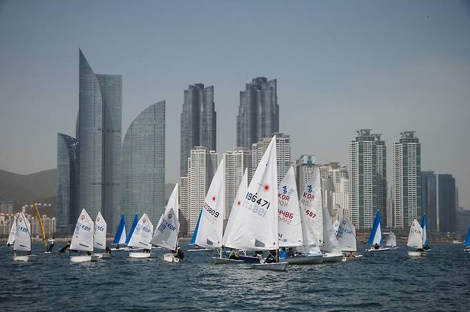 수영만에서 바라본 스카이라인 [김울프 작가 제공]
