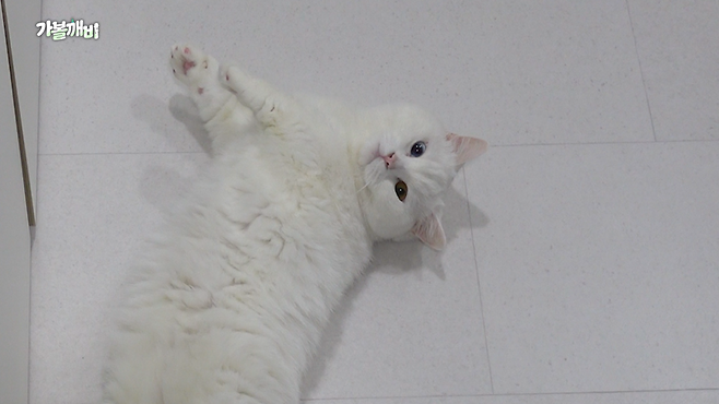 유튜브 채널 '집 나와라 뚝딱!' 갈무리.