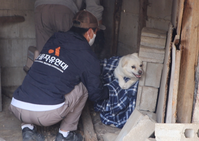 폐가 현장에서는 16마리의 개들이 구조됐는데 그중에서도 짝쿵이와 쿵짝이를 구조하는 게 제일 힘들었다고 활동가들은 돌아봤다. 동물자유연대 제공