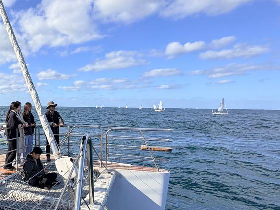 지난해 11월 28일 오후 제주시 도두항 요트부두 인근 해역에서 제1회 제주컵 국제요트대회에 참가한 7개국 선수들이 기량을 겨루고 있다. 최충일 기자