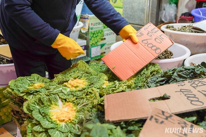 27일 오전 서울 마포구 망원시장 채소가게에 봄동이 진열돼 있다.