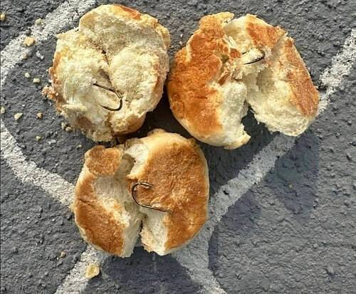 반려견 놀이터에 낚싯바늘이 박힌 빵을 버리고 간 60대 남성이 경찰에 붙잡혔다./사진=SNS