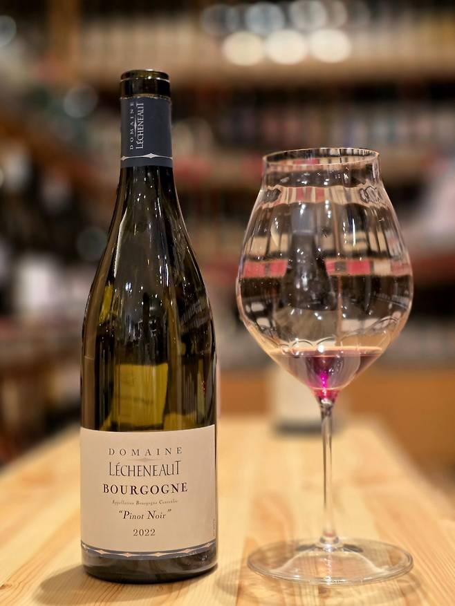 도멘 레셔노 부르고뉴 피노 누아. 최현태 기자
