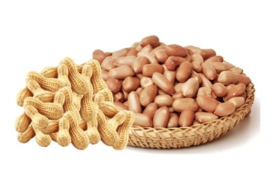 땅콩 [신종근 제작 이미지]