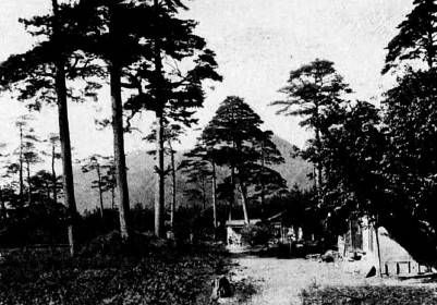 1931년 강원도 연습림 [녹색연합 제공. 재판매 및 DB 금지]