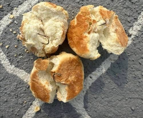 낚싯바늘 박힌 빵 [소셜미디어(SNS) 게시글 갈무리. 재판매 및 DB 금지]