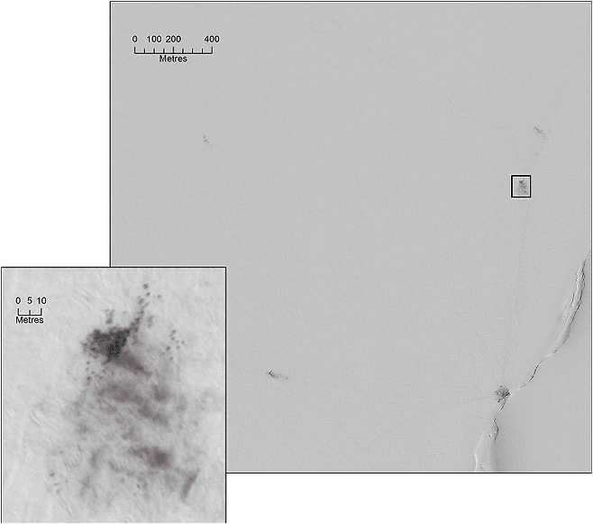 위성에서 확인된 황제펭귄 집단. (사진 Fretwell, P.T. Discovery of Antarctic moulting sites in satellite imagery reveals new threat to emperor penguins)/뉴스펭귄