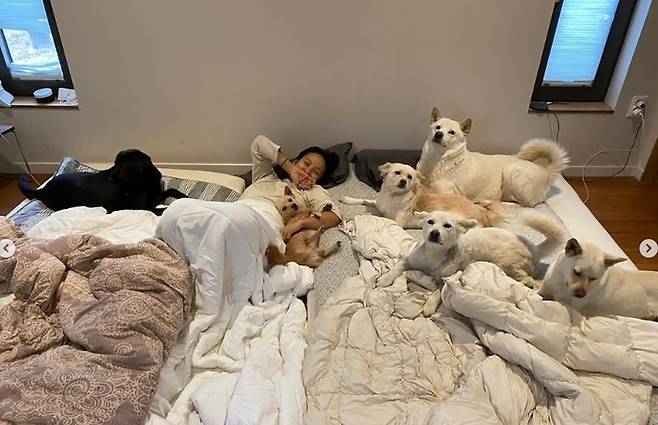 사진|이효리SNS