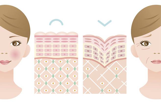 사진=게티이미지뱅크.