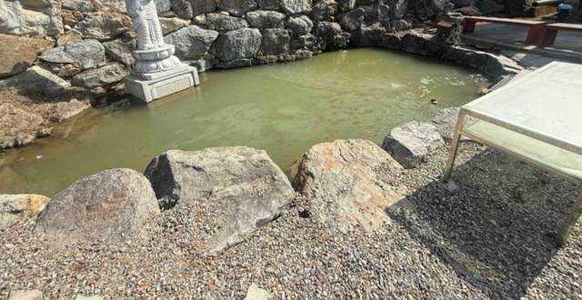 ▲ 28일 오후 1시 18분쯤 홍천군 서면의 한 연못에 4세 아이가 빠져 의식 없는 상태로 병원으로 이송됐다. 강원소방본부 제공