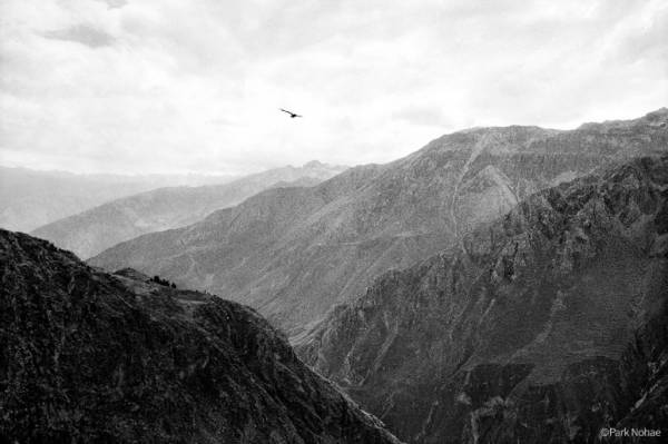 독수리 날듯이 The Colca Caynon, Central Andes, Peru, 2010. ⓒ박노해