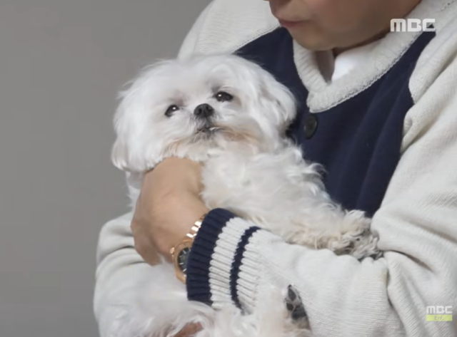 '나혼산' 꽃분이/MBC