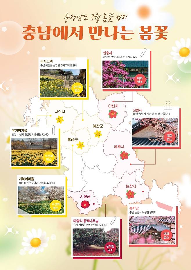 충남에서 만나는 봄꽃