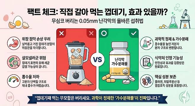 팩트 체크: 직접 갈아 먹는 껍데기, 효과 있을까? 제미나이 생성 이미지