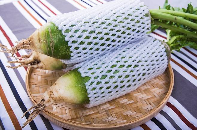 표면이 연한 채소에 과일망을 씌운 모습. 냉장 보관 중 발생할 수 있는 물리적 충격을 줄이는 보조 완충재로 활용할 수 있다. 사진=게티이미지뱅크
