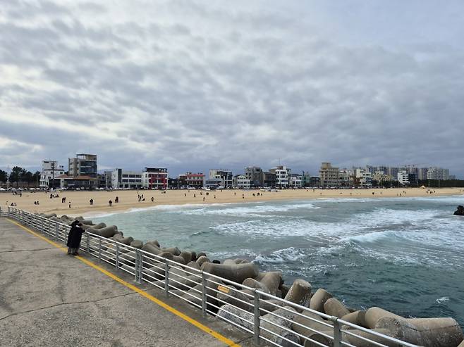 강릉 안목 커피 거리 [촬영 류호준]