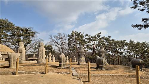 울타리 앞에서 보이는 헌릉 석물 [촬영 김정선]