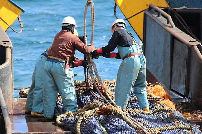 원양어선에서 일하는 선원들 [해양수산부 제공. 재판매 및 DB 금지]