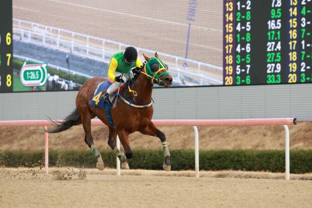 1일 렛츠런파크 부산경남에서 열린 제19회 경남신문배 대상경주서 서승운 기수가 기승한 클러치위너가 질주하고 있다./렛츠런파크 부산경남/