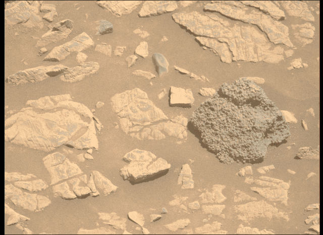 작년 NASA 퍼시비어런스 로버의 카메라가 화성에서 특이한 질감의 암석을 포착했다. (사진=NASA/JPL-칼텍/ASU)