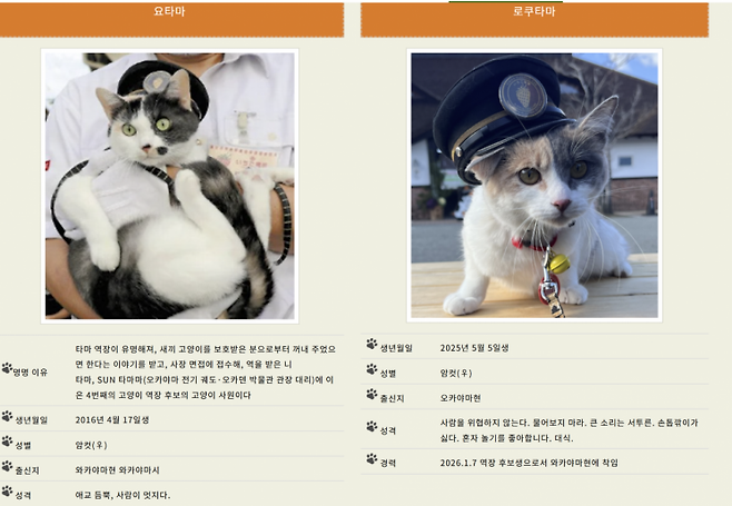 일본 와카야마현 키시역에서 소개하는 고양이 역장 프로필. 와카야마 전철.