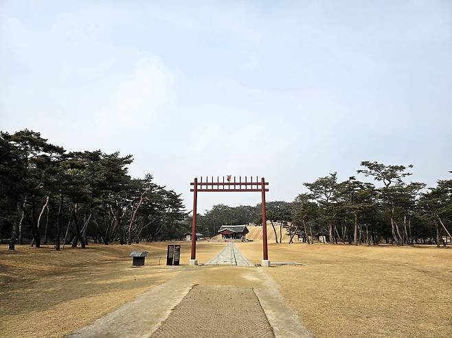 홍살문 너머 세종대왕릉(사진=정상미)
