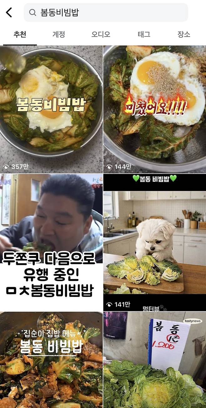 SNS에 게재된 봄동비빔밥 관련 콘텐츠들. [SNS 캡처]