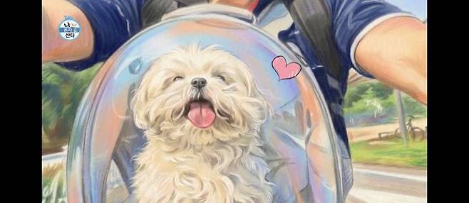 [서울=뉴시스] 꽃분이. (사진 = MBC TV '나 혼자 산다' 캡처) 2026.02.28. photo@newsis.com *재판매 및 DB 금지