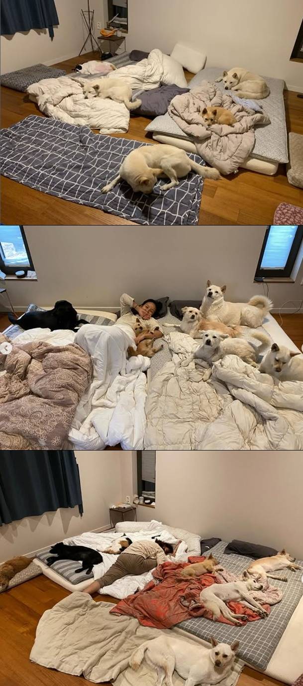 이효리 계정 캡처