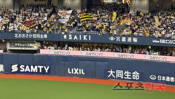 외야에서 응원하는 한신 팬들. ⓒ스포츠한국 심규현 기자