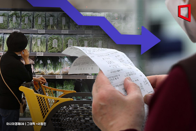 통계청 국가통계포털(KOSIS)에 따르면 지난해 소비자물가는 전년 대비 2.1% 상승했다. 특히 생활물가지수 상승률은 2.4%로 더 높아 소비자들이 체감하는 물가 부담이 여전히 큰 것으로 나타났다. 아시아경제DB