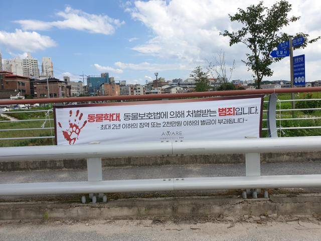 동물학대 범죄에 대한 인식을 끌어올리기 위해 동물복지문제연구소 '어웨어'가 2022년 지자체에 제공한 현수막이 걸려 있다. 동물복지문제연구소 어웨어 제공