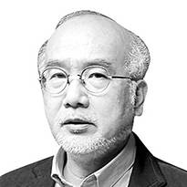 이준 미술비평가·부산비엔날레 집행위원장