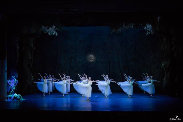 발레 '지젤' 공연 장면. 대구오페라하우스 제공