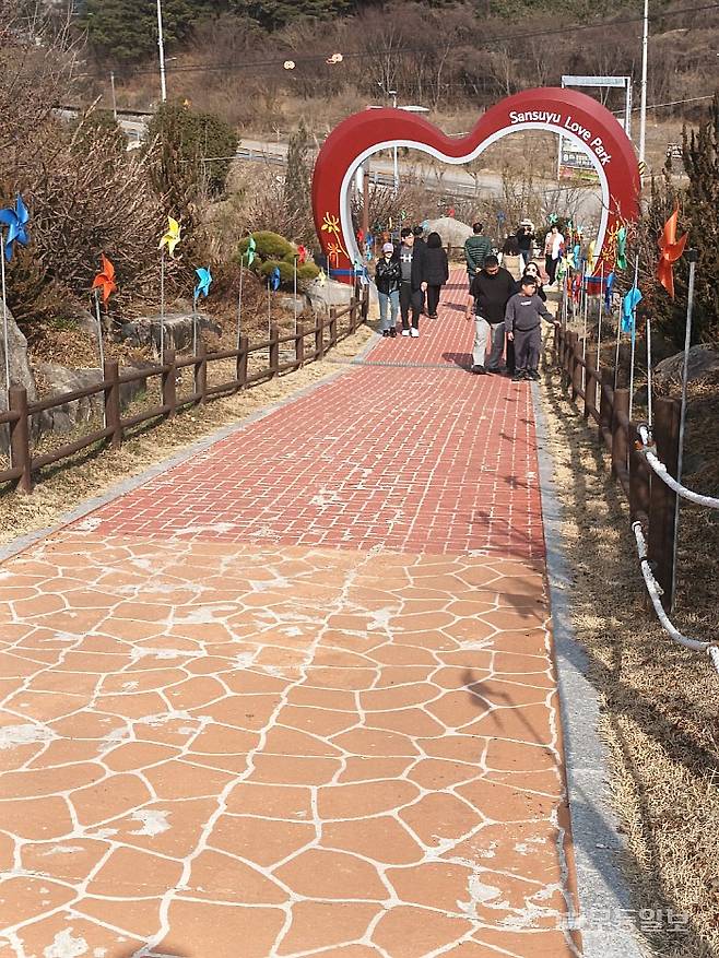 구례 산동 산수유사랑공원.