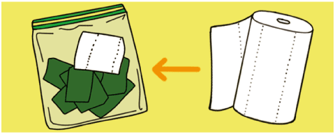 일러스트=이진영