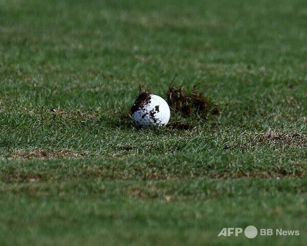 사진은 칼럼과 관련 없는 참고 이미지입니다. 사진제공=ⓒAFPBBNews = News1 (사진을 무단으로 사용하지 마십시오.)