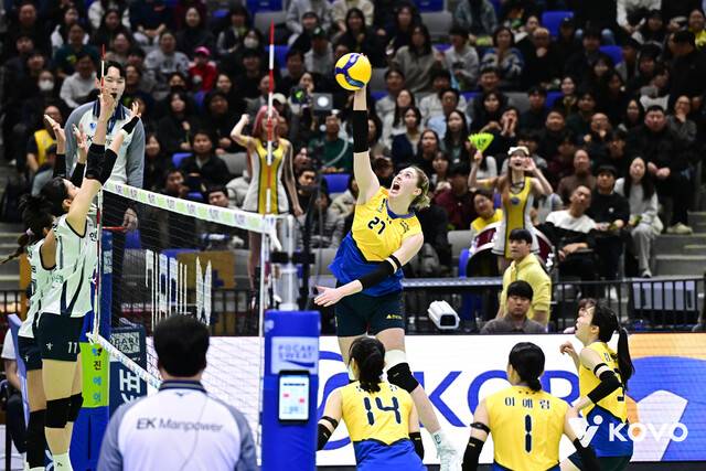한국도로공사와 현대건설이 지난달 24일 수원체육관에서 경기를 하고 있다. 한국배구연맹 제공