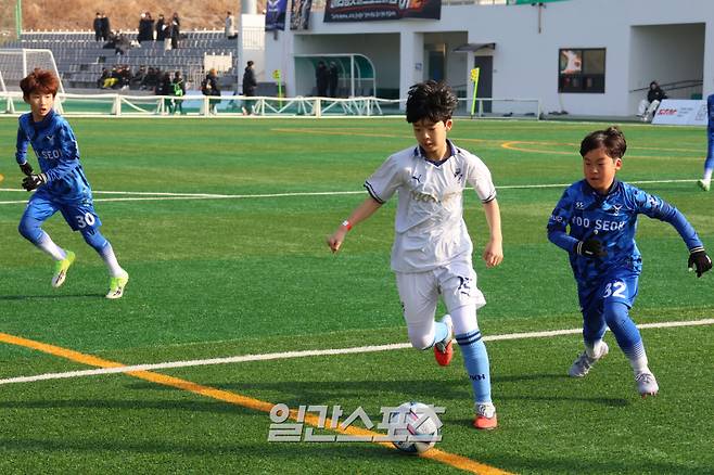 2026 만세보령 JS컵 대회 사진